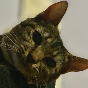 Meet your Posher, Estefanie